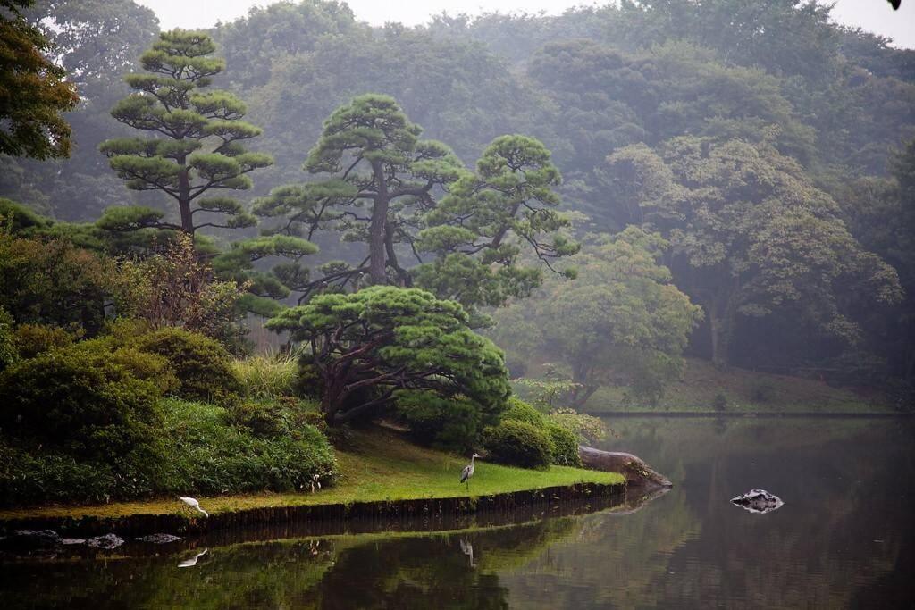 Tora Tokyo-rikugienn 寅ホテル 六義園 C * Prefektura Tokio